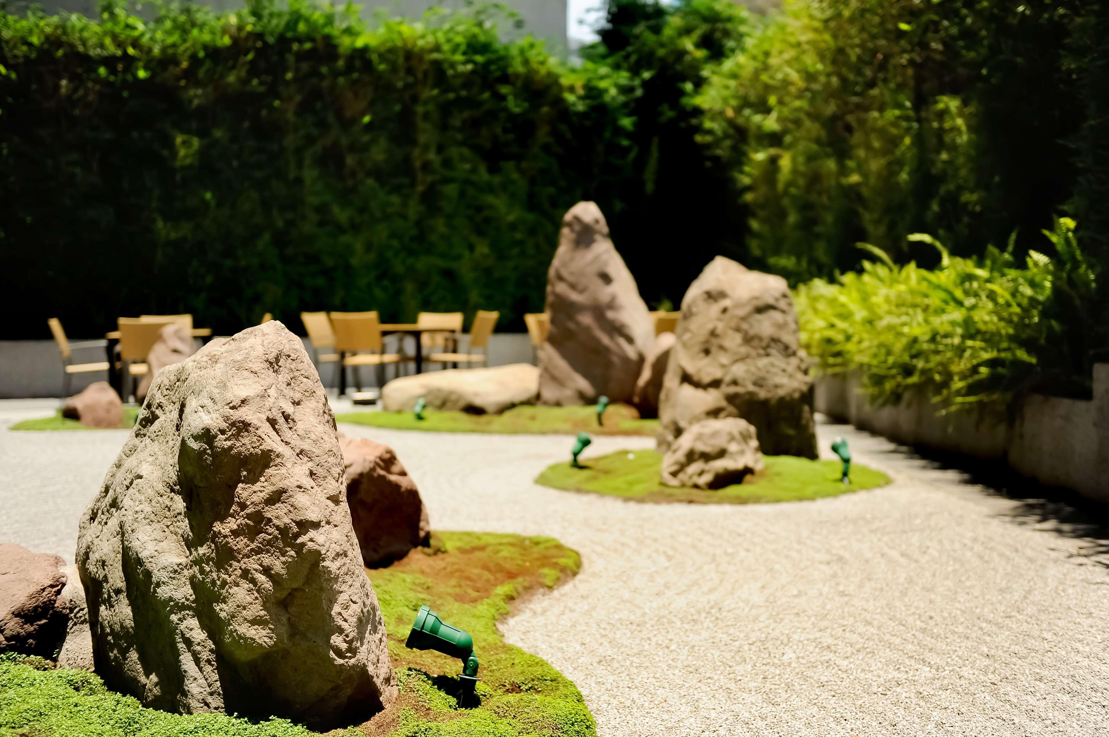 Hyatt Regency Città del Messico Esterno foto The Rock Garden